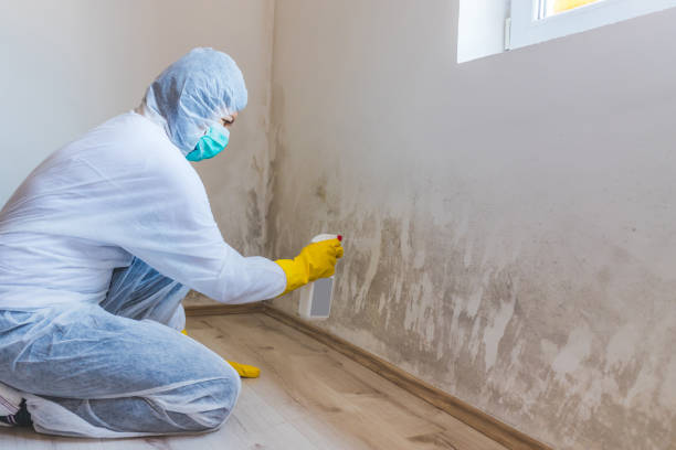 Commercial Mold Remediation assessment for commercial property in Elko New Market