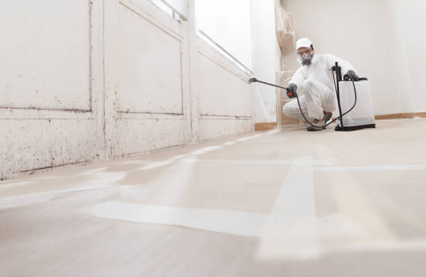 Post-remediation clearance in Elko New Market